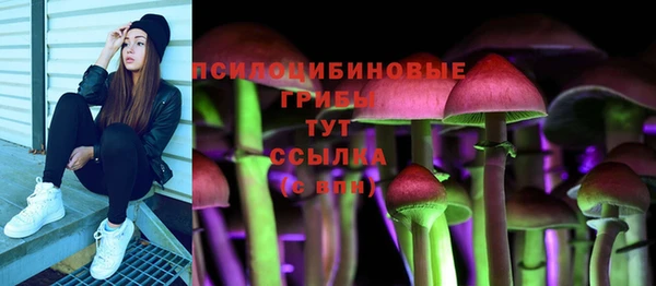 мдма Пролетарск