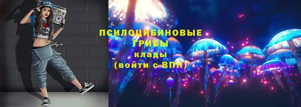 мдма Пролетарск