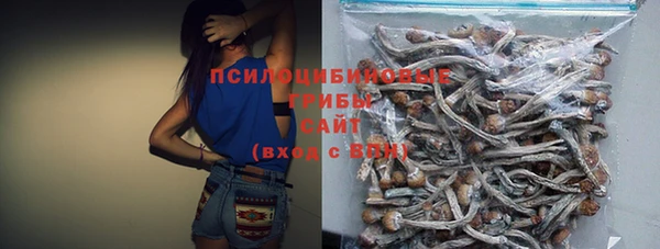 мдма Пролетарск