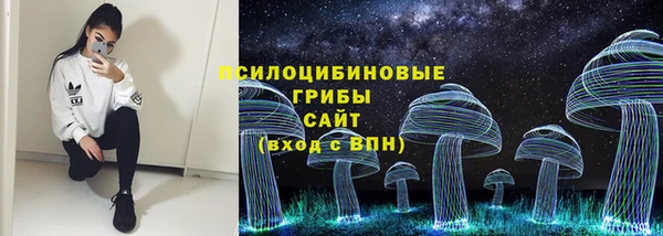 герыч Протвино