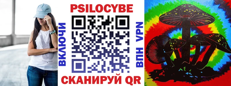 Купить где  Заринск  Псилоцибиновые грибы Psilocybe 